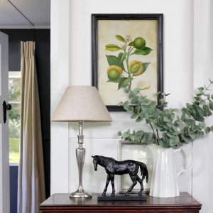 La Bizarerie Limes Vintage Botanical Print, a wall display piece featuring the named subject and composition
