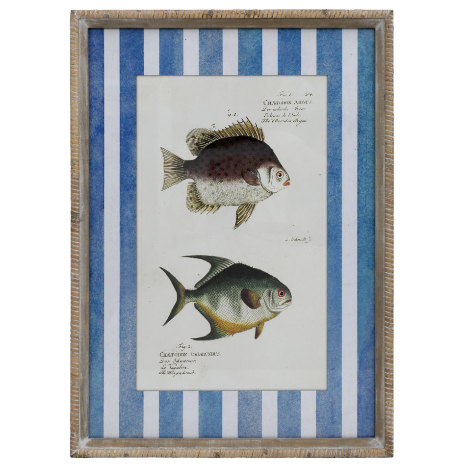 Mariner Fish I print with two vintage-style fish illustrations and a rustic whitewashed wood frame