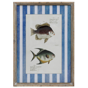 Mariner Fish I print with two vintage-style fish illustrations and a rustic whitewashed wood frame