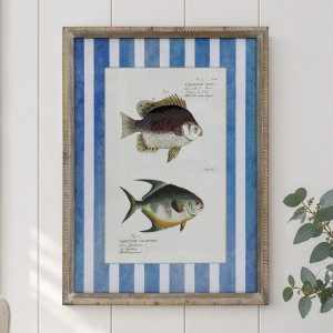 Mariner Fish I framed print with blue and white stripes on a white panelled wall beside eucalyptus