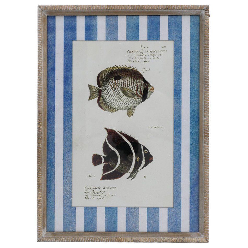 Mariner Fish II print featuring two vintage-style fish illustrations in a rustic whitewashed wood frame