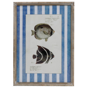 Mariner Fish II print featuring two vintage-style fish illustrations in a rustic whitewashed wood frame