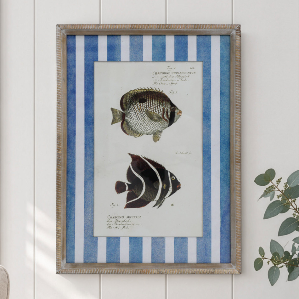 Mariner Fish II framed print with blue and white stripes on a white panelled wall beside eucalyptus