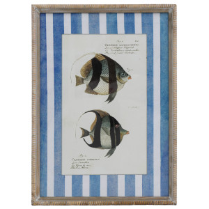 Mariner Fish III framed print with blue and white stripes on a white panelled wall beside eucalyptus