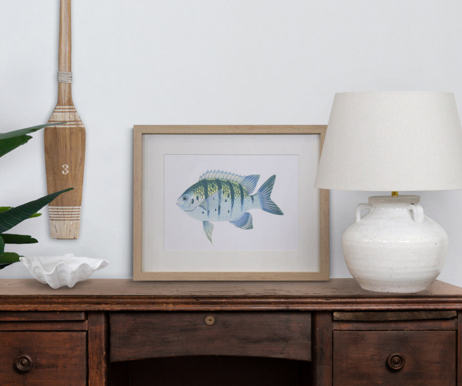 Coral Bay I Fish Wall Art Print