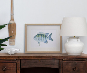Coral Bay I Fish Wall Art Print