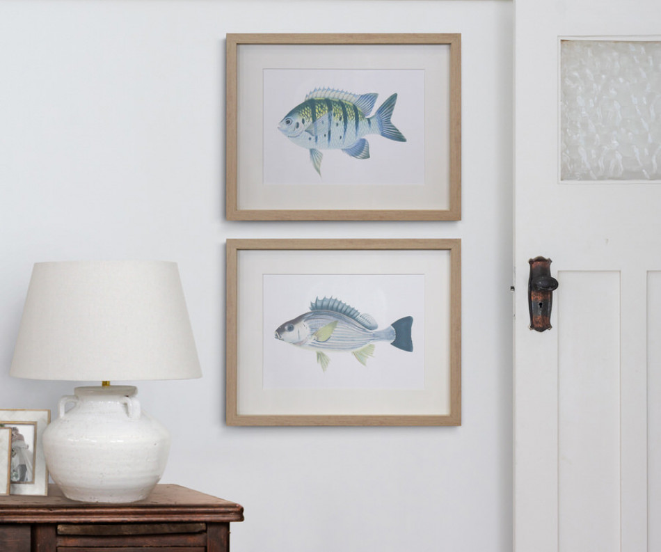 Coral Bay I Fish Wall Art Print