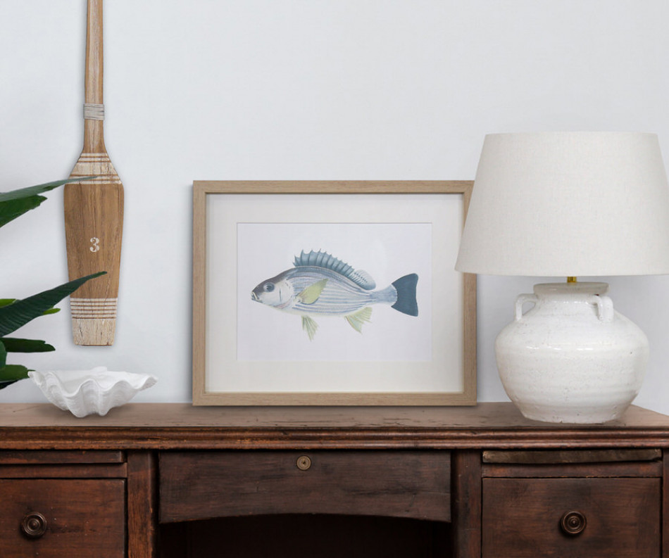 Coral Bay II Fish Wall Art Print