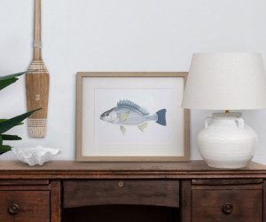 Coral Bay II Fish Wall Art Print