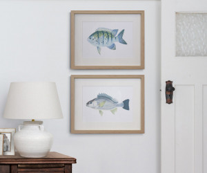 Coral Bay II Fish Wall Art Print
