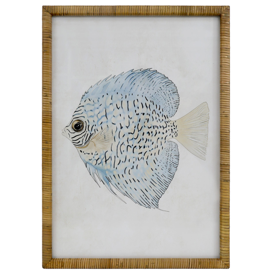 Coral Cove Fish II print with a pale blue fish, fine dark markings and an off-white background in a rattan frame