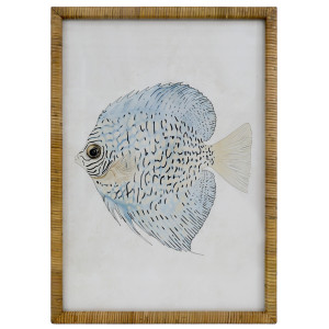 Coral Cove Fish II print with a pale blue fish, fine dark markings and an off-white background in a rattan frame