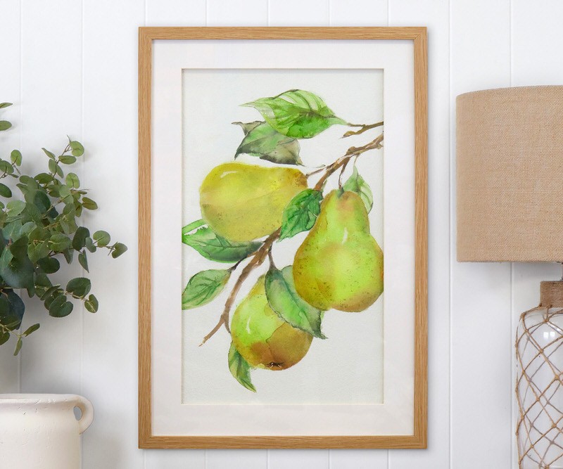 Orchard Pears Framed Print