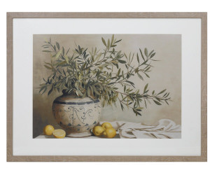 St Remy Olive Leaf Framed Print