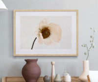 Blush Poppy Flower Framed Print