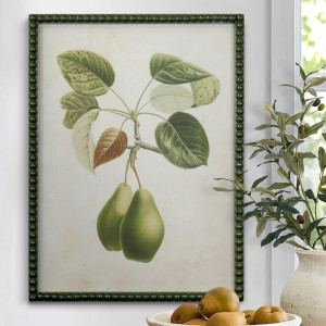 Lafayette Green Pear II Framed Botanical Print, framed wall artwork