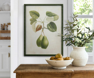 Lafayette Green Pear II Framed Botanical Print
