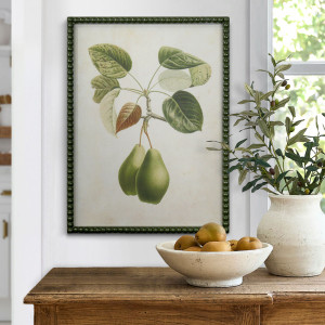 Lafayette Green Pear II Framed Botanical Print, decorative wall artwork for an interior display