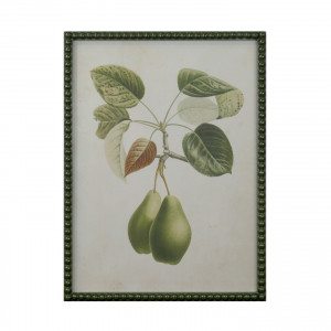 Lafayette Green Pear II Framed Botanical Print, presented as decorative artwork for creating a focal point on a wall