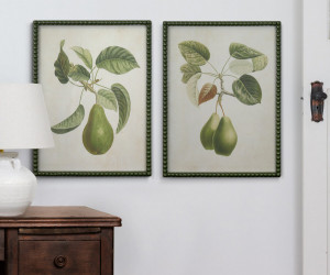 Lafayette Green Pear II Framed Botanical Print
