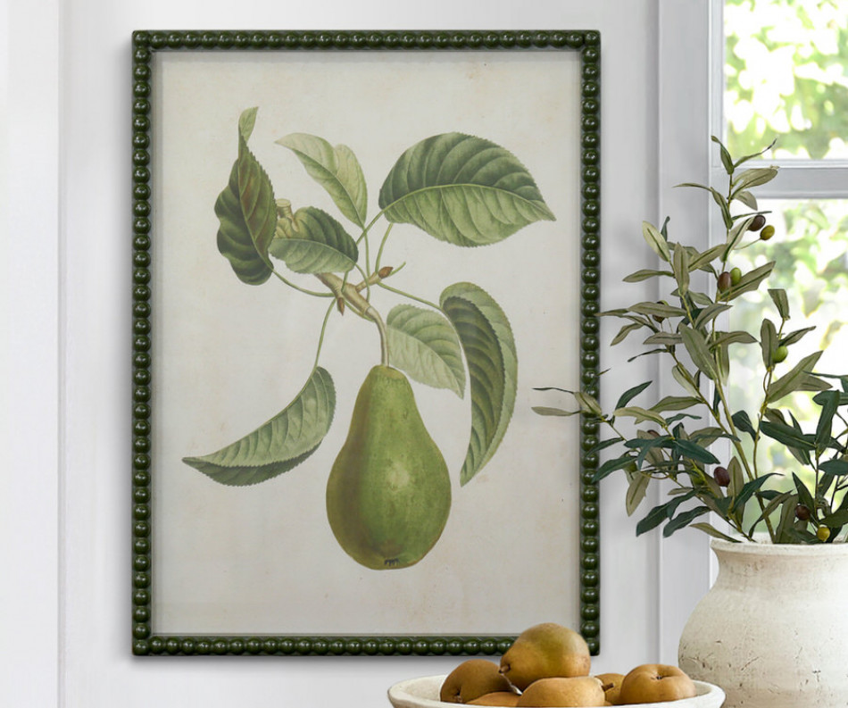 Lafayette Green Pear I Framed Botanical Print