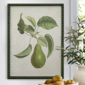 Lafayette Green Pear I Framed Botanical Print, framed wall artwork