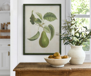 Lafayette Green Pear I Framed Botanical Print