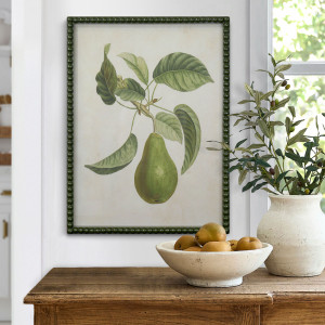 Lafayette Green Pear I Framed Botanical Print, decorative wall artwork for an interior display