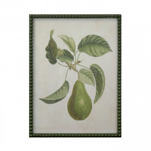 Lafayette Green Pear I Framed Botanical Print, presented as decorative artwork for creating a focal point on a wall