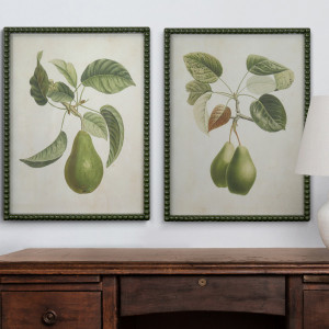 Lafayette Green Pear II Framed Botanical Print, a wall display piece featuring the named subject and composition