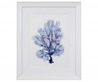 Coco Island IV Blue Coral Framed Print