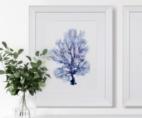 Coco Island IV Blue Coral Framed Print