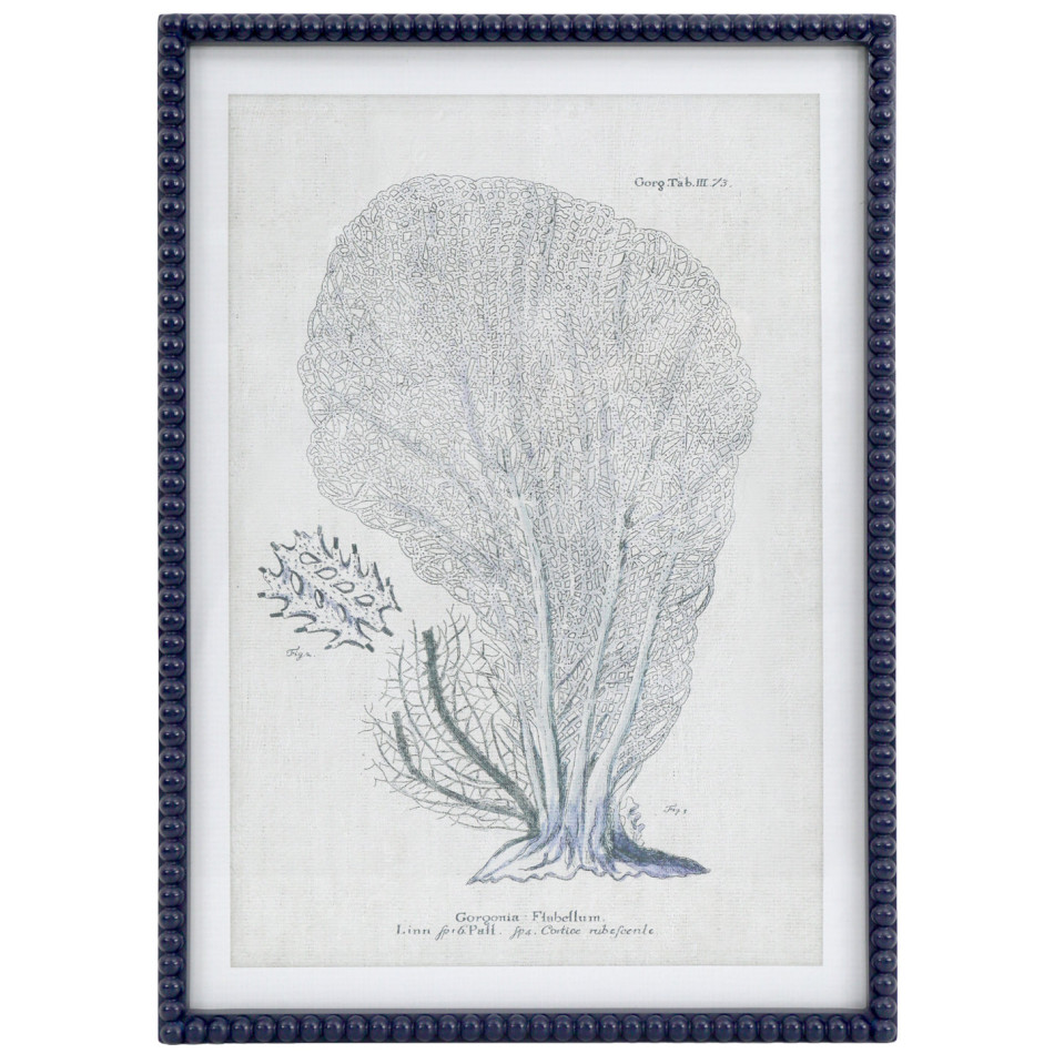 Blue Reef Fan Coral Framed Print