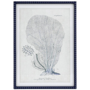 Blue Reef Fan Coral Framed Print