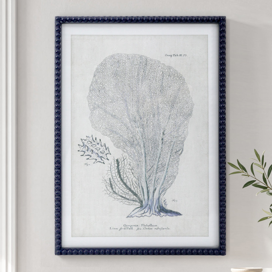 Blue Reef Fan Coral Framed Print