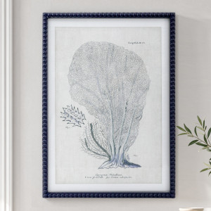 Blue Reef Fan Coral Framed Print