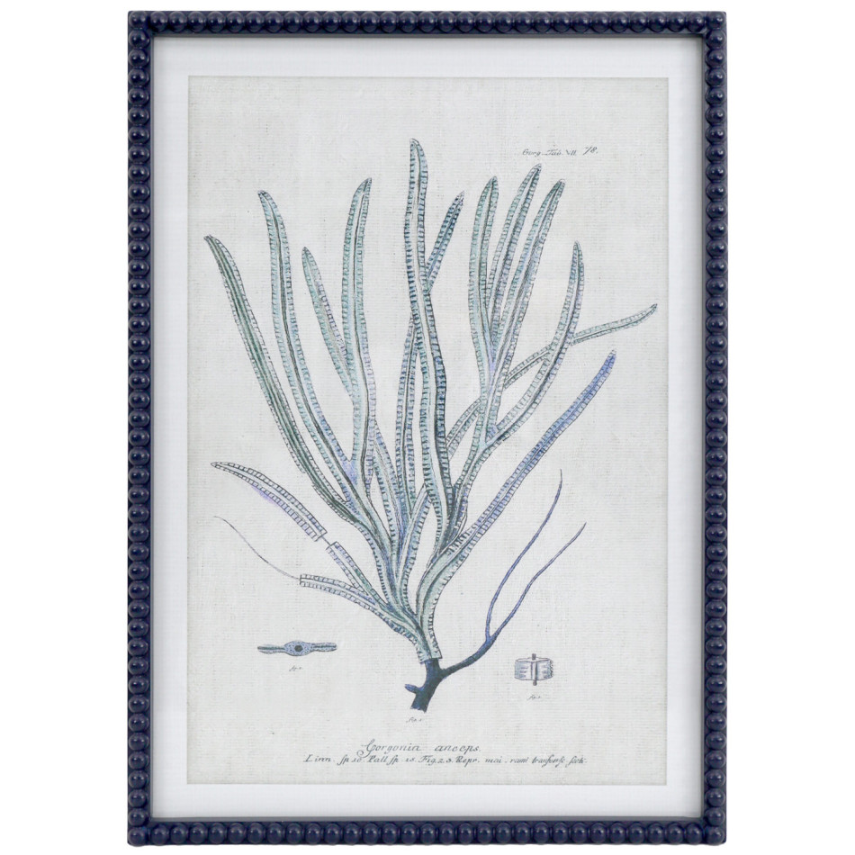 Blue Reef Whip Coral Framed Print with a dark blue beaded frame and pale background, shown against white