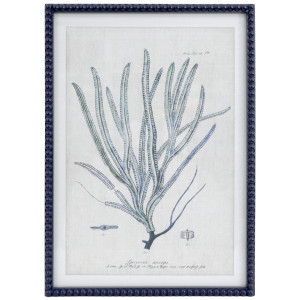 Blue Reef Whip Coral Framed Print with a dark blue beaded frame and pale background, shown against white