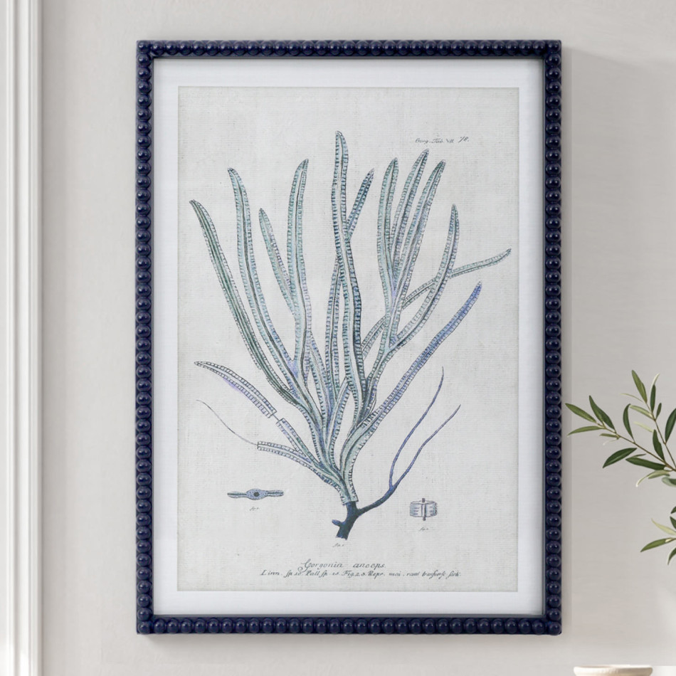 Close view of Blue Reef Whip Coral Framed Print showing its navy beaded frame and fine coral illustration