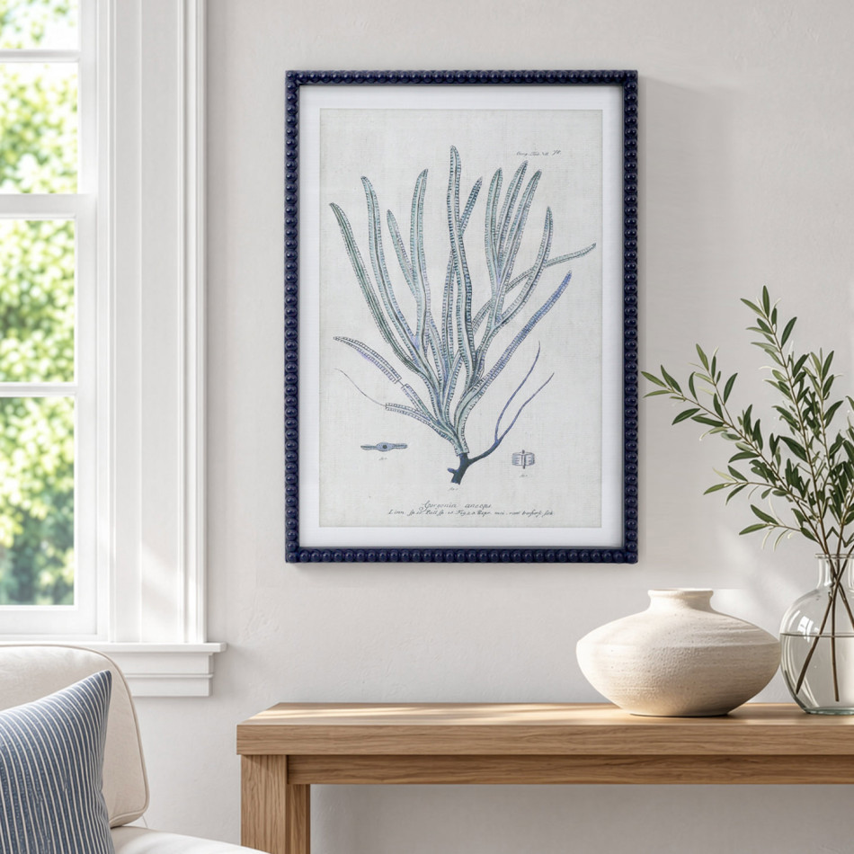 Navy-framed whip coral print above a timber console with a cream vase and leafy stems beside a window