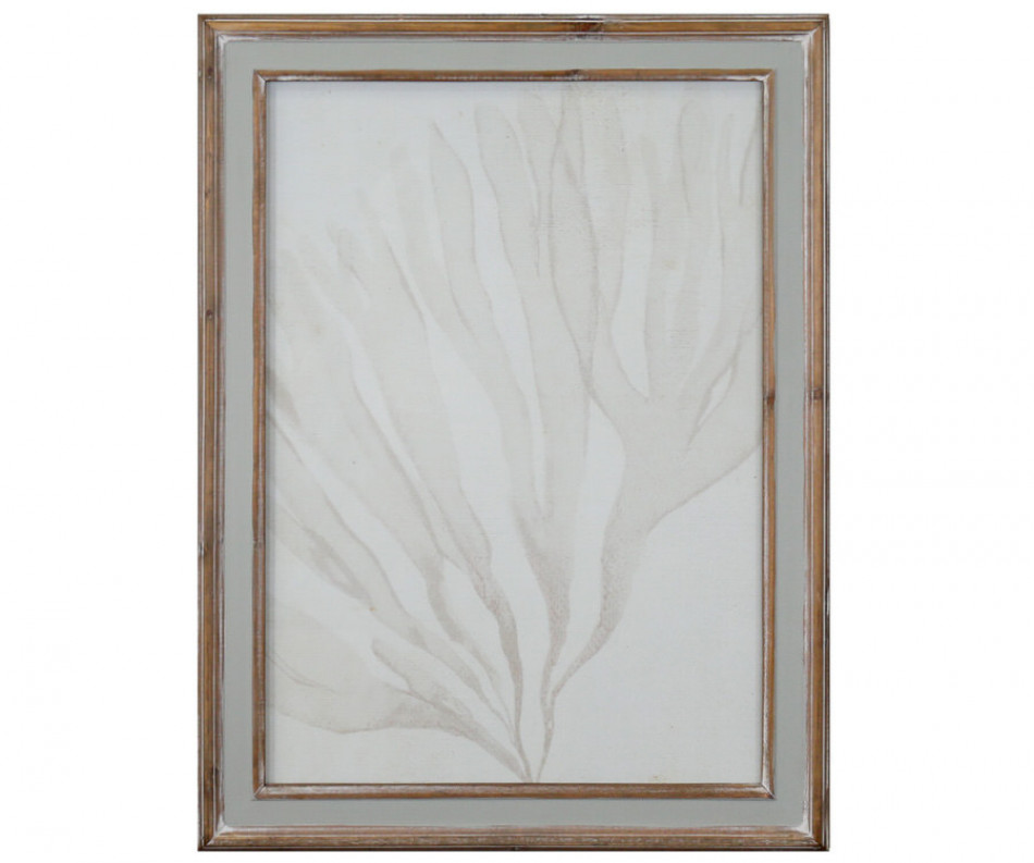 Soft Tides I Seaweed Wall Art Print