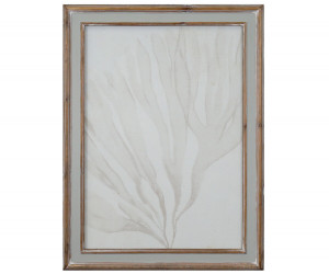 Soft Tides I Seaweed Wall Art Print