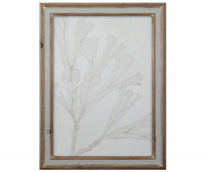 Soft Tides II Seaweed Wall Art Print