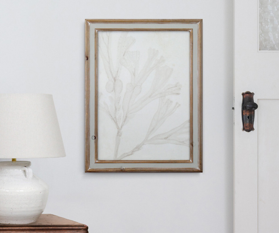 Soft Tides II Seaweed Wall Art Print