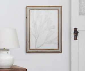 Soft Tides II Seaweed Wall Art Print