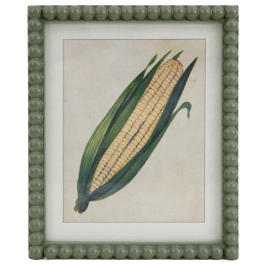 Sweetcorn botanical illustration with golden kernels and green husks, a cream background and beaded green frame