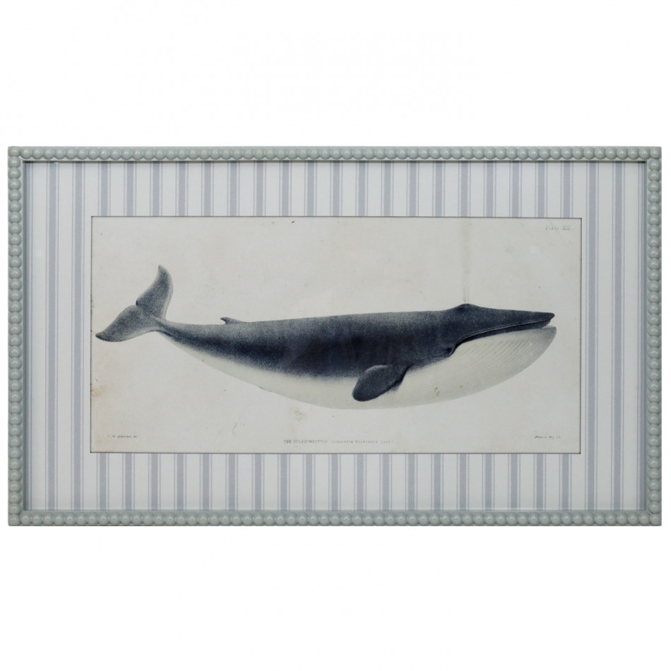 Nantucket Blue Whale Framed Print, decorative wall artwork for an interior display
