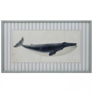 Nantucket Blue Whale Framed Print, decorative wall artwork for an interior display