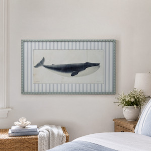 Nantucket Blue Whale Framed Print, a wall display piece featuring the named subject and composition