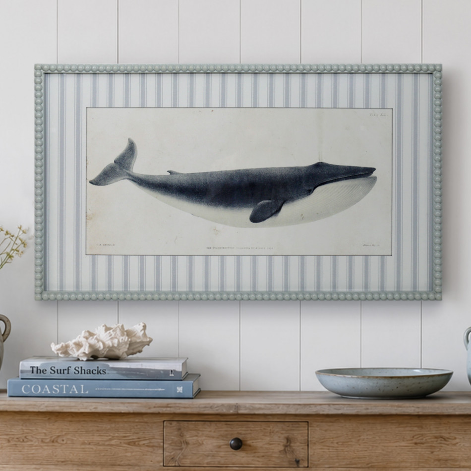 Nantucket Blue Whale Framed Print, framed wall artwork